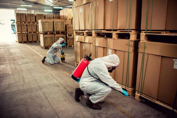 Best Pest Inspection Near Me  in Jonesboro, IN