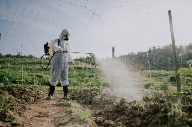 Best Commercial Pest Control Services  in Jonesboro, IN