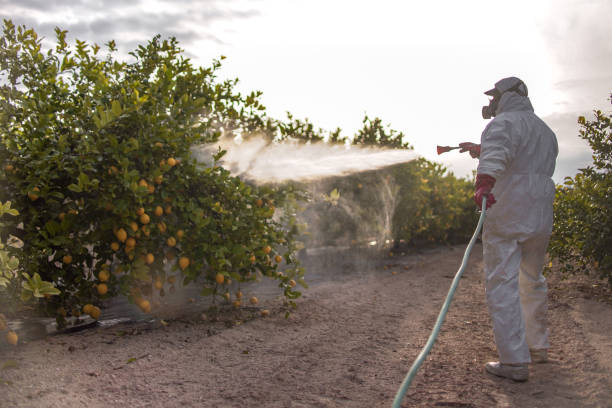 Best Emergency Pest Control  in Jonesboro, IN