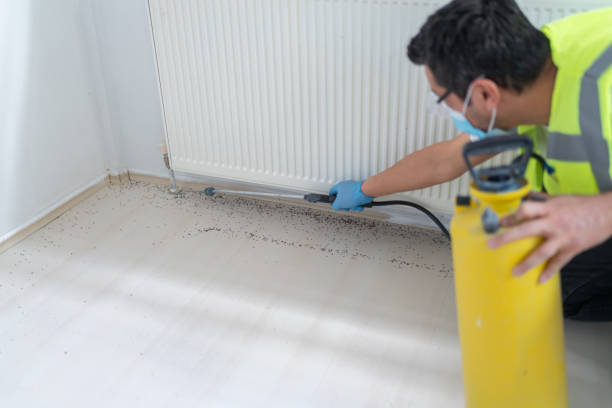 Best Pest Control for Businesses  in Jonesboro, IN